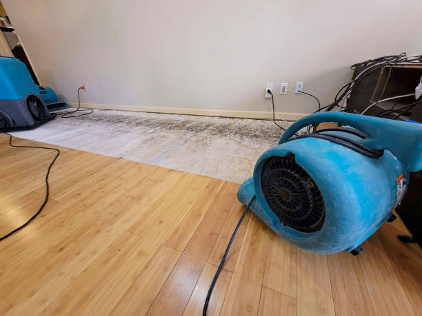 Professional Structural Drying technician working in Stockton, MO